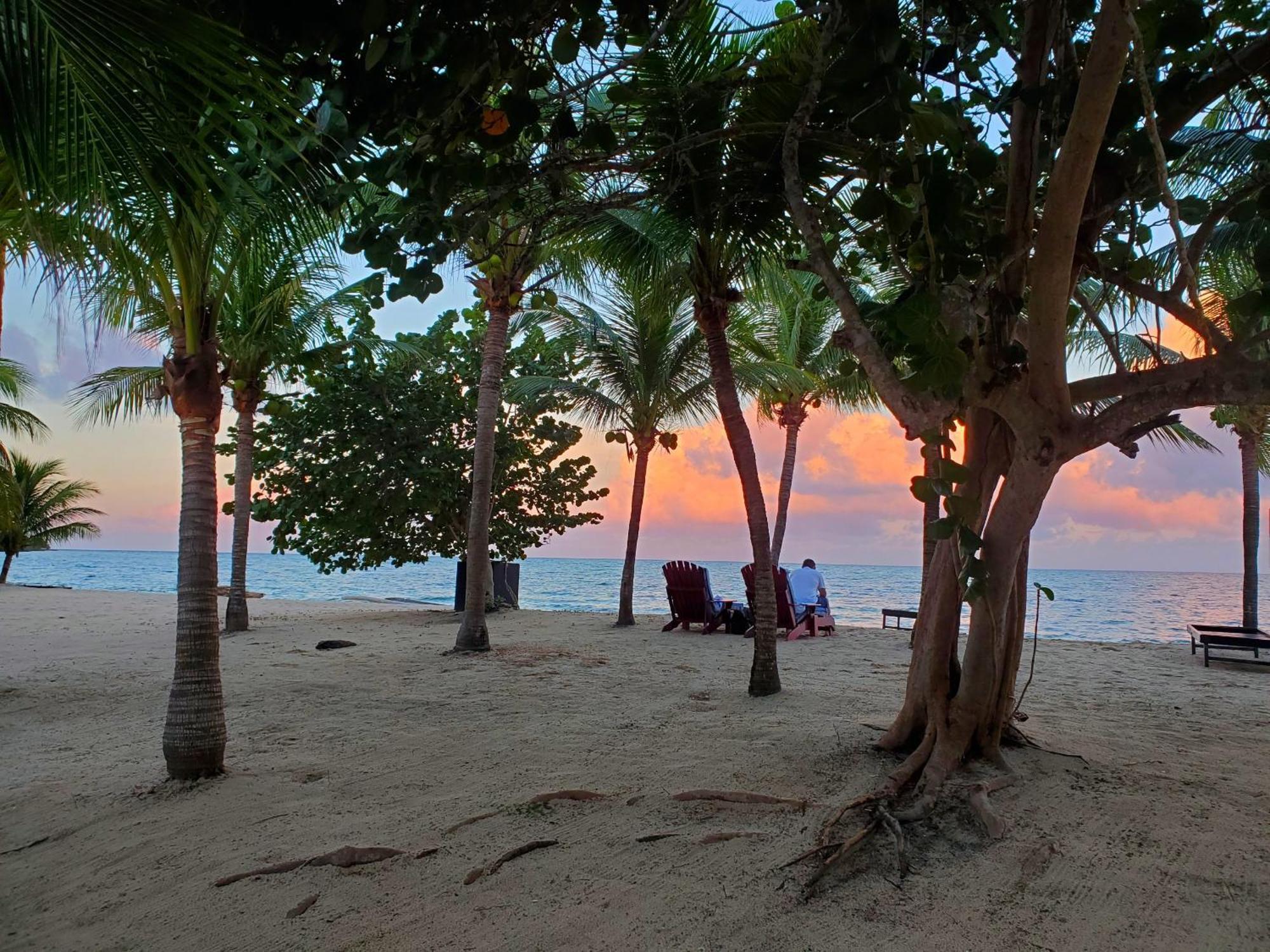 Los Porticos Placencia ห้อง รูปภาพ